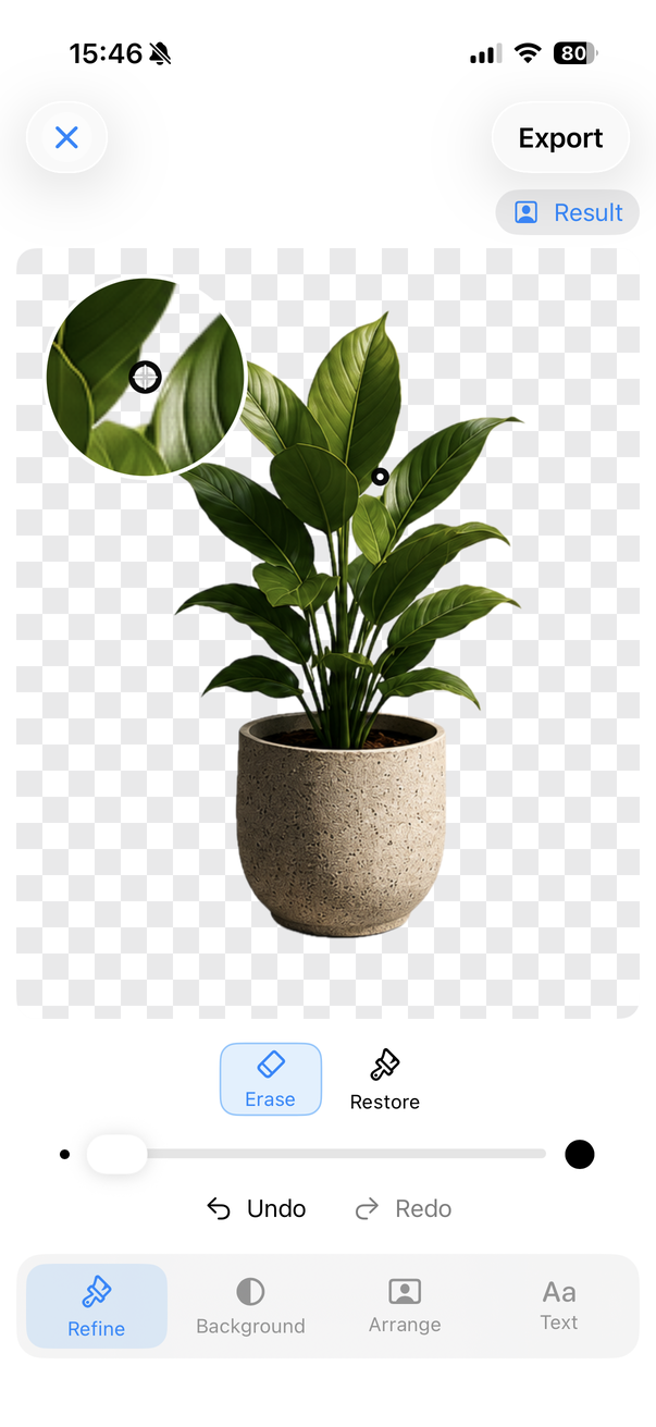 Erase and restore controls with an active magnifier over the edge of a plant leaf