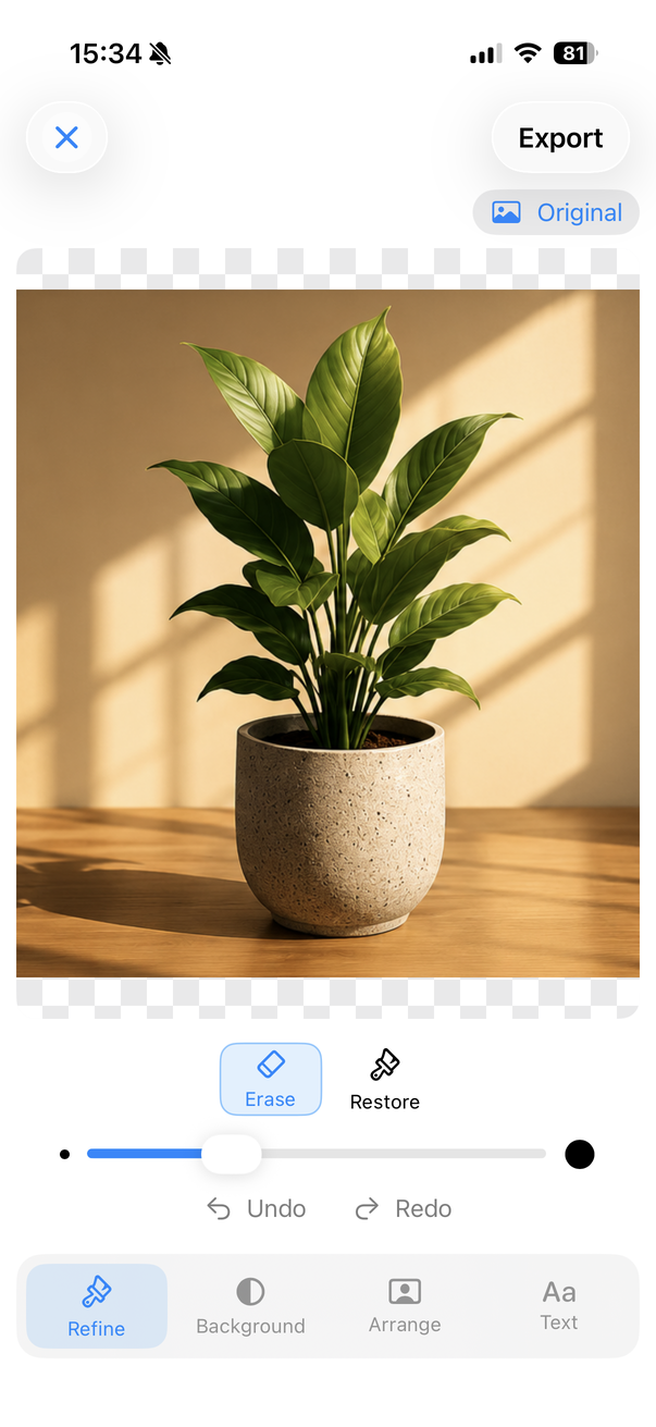Remove BG & Eraser Original preview showing the plant photo with its wall and table background