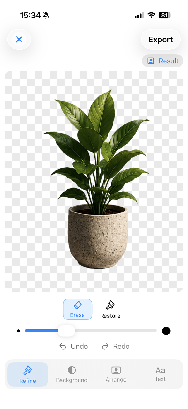 Remove BG & Eraser editor showing a plant cutout on checkerboard transparency with erase and restore controls
